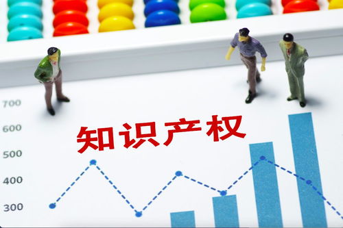 以知識(shí)產(chǎn)權(quán)服務(wù)為引擎，驅(qū)動(dòng)2035年知識(shí)產(chǎn)權(quán)強(qiáng)國建設(shè)