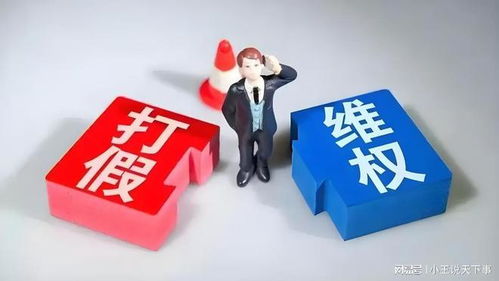 職業(yè)打假人的法律邊界 從吳亞萍法官判決看知識(shí)產(chǎn)權(quán)服務(wù)的角色與爭議