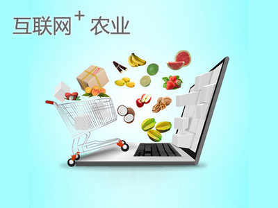 點(diǎn)豆網(wǎng) 以“互聯(lián)網(wǎng)+”助力農(nóng)業(yè)可持續(xù)發(fā)展，開啟智慧農(nóng)業(yè)新篇章